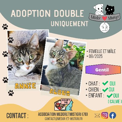 Adopter Annie et albus