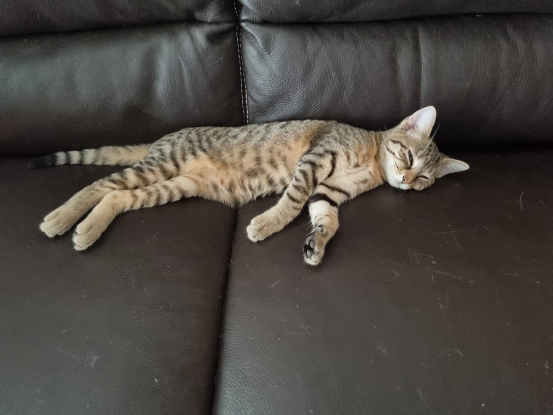 Adopter Betty
