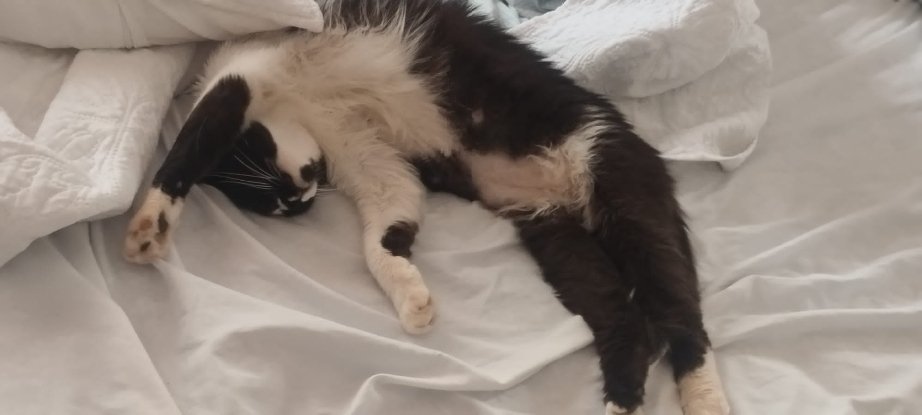 Adoption Eros