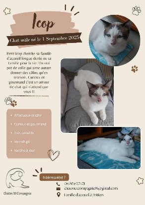 Adopter Icop