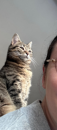 Adopter Lilie