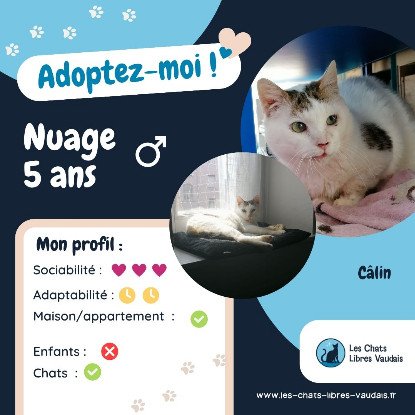 Adopter Nuage