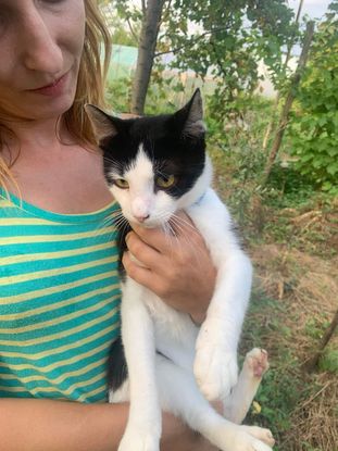 Adopter Pimousse