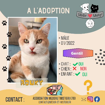 Adopter Rouky