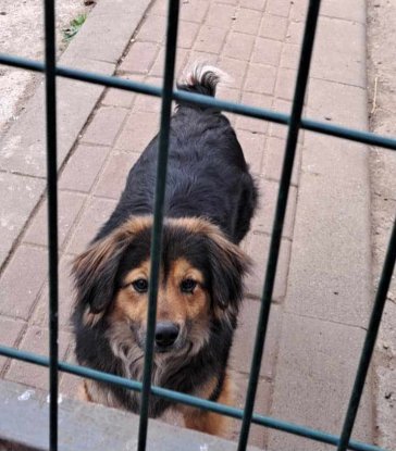 Adopter Carla