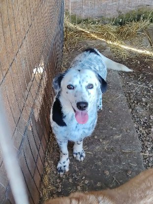 Adopter Hanaé