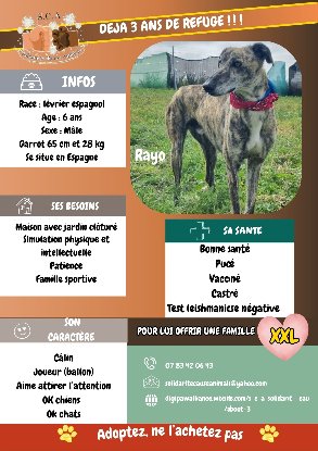 Adopter Rayo