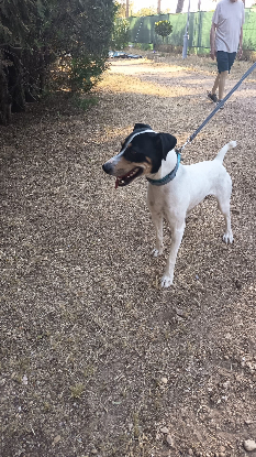 Adoption Vincent