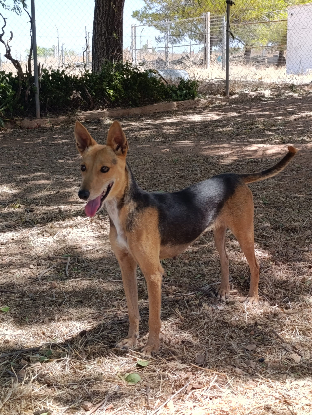 Adopter Zoe