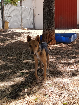 Adoption Zoe