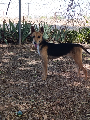Adoption Zoe