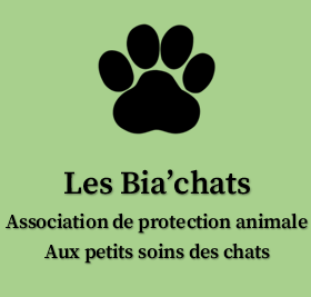 Logo association Les Bia'chats