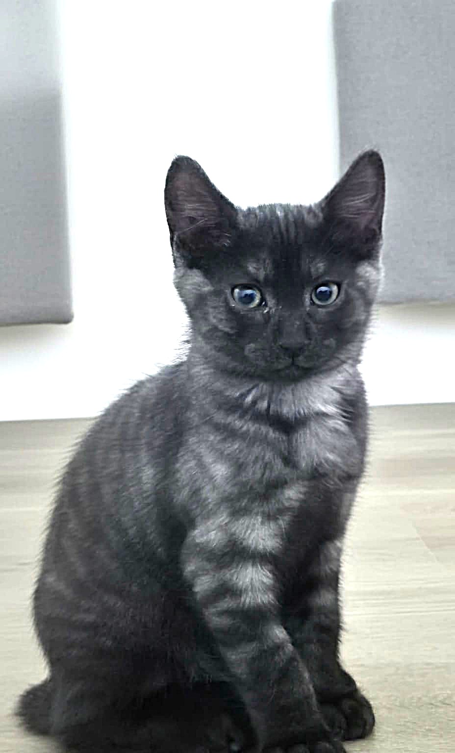Adopter Bolt