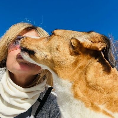 Kareen Fandard avatar