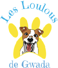 Logo association Dogs Cats and Company - Les Loulous de Gwada