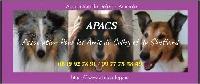 Logo association APACS - Association pour les Amis du Colley et du Shetland