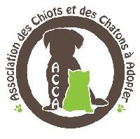 Logo association ACCA - Association des Chiots et Chatons à Adopter