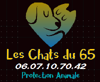Logo association Les Chats du 65