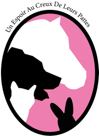 Logo association Un Espoir au Creux de leurs Pattes