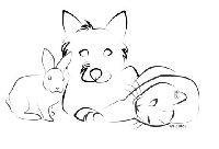 Logo association L'Arche de Néo