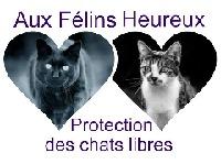 Logo association Aux Félins Heureux