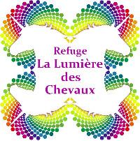 Logo association La Lumière des Chevaux