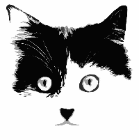 Logo association Pirate