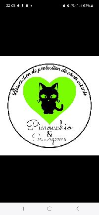 Logo association Pinocchio et Sauvageons