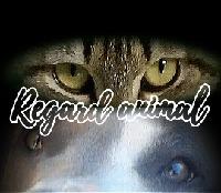 Logo association Regard Animal