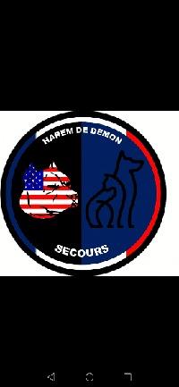 Logo association Harem de démon secours