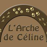 Logo association L'Arche de Céline