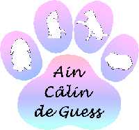 Logo association Ain Câlin de Guess