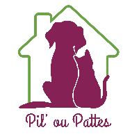 Logo association Pil'ou Pattes