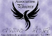 Logo association Phoenix