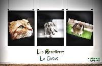 Logo association Les Roselières de la Ciotat