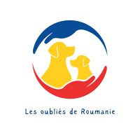 Logo association Les oubliés de Roumanie