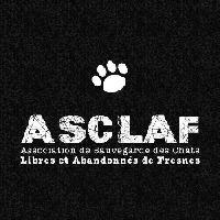 Logo association ASCLAF - Association de Sauvegarde des Chats Libres et Abandonnés de Fresnes
