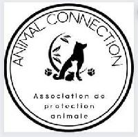 Logo association Animal Connection