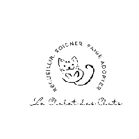 Logo association Le chalet des chats