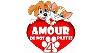 Logo association Amour de nos 4 Pattes
