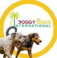 Logo association Doggy oasis international