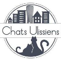 Logo association Chats Ulissiens