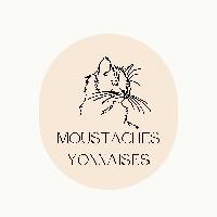 Logo association MOUSTACHES YONNAISES