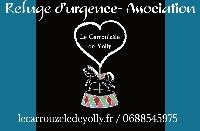 Logo association Le carrouzele de yolly