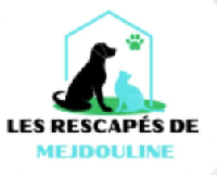 Logo association Les rescapés de Mejdouline