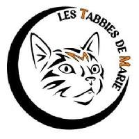 Logo association Les Tabbies de Marie