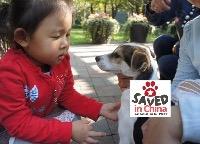 Logo association Saved in China