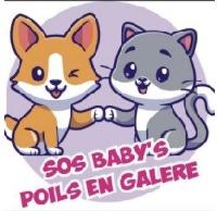 Logo association SOS Baby's poils en galère