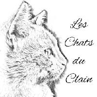 Logo association Les chats du clain
