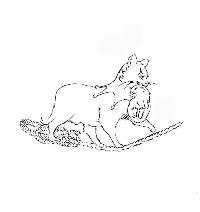 Logo association LES CHALTIMBANQUES